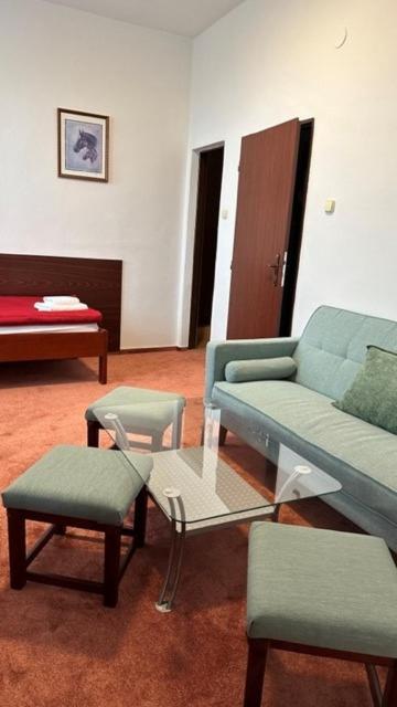 Hotel Bothe Považská Bystrica Dış mekan fotoğraf